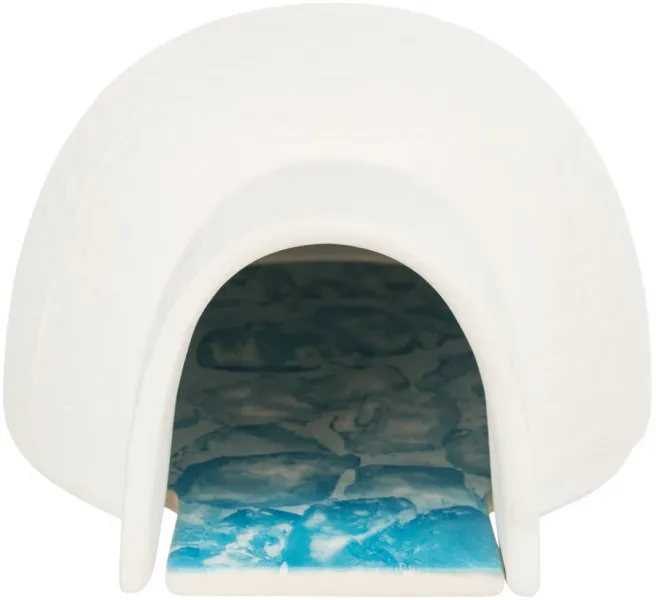 Iglu mit Kühlplatte